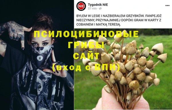 трава Алексеевка