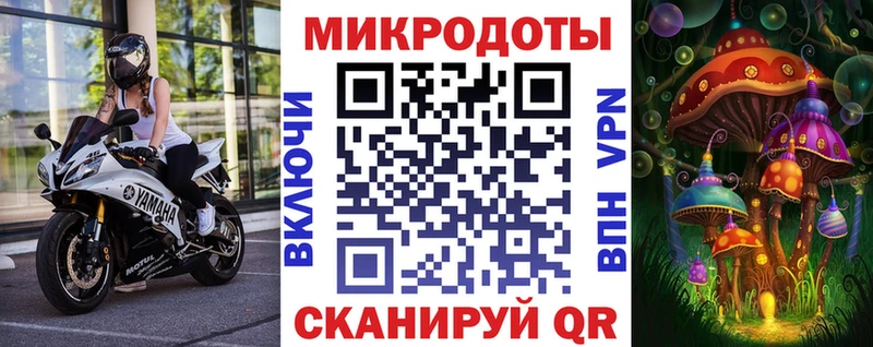 Псилоцибиновые грибы Psilocybine cubensis  Куровское 