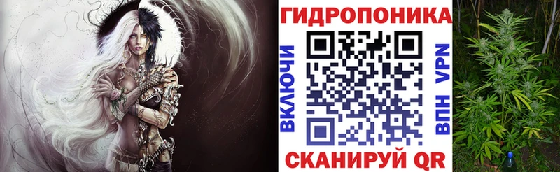 Бошки марихуана OG Kush  купить закладку  Куровское 
